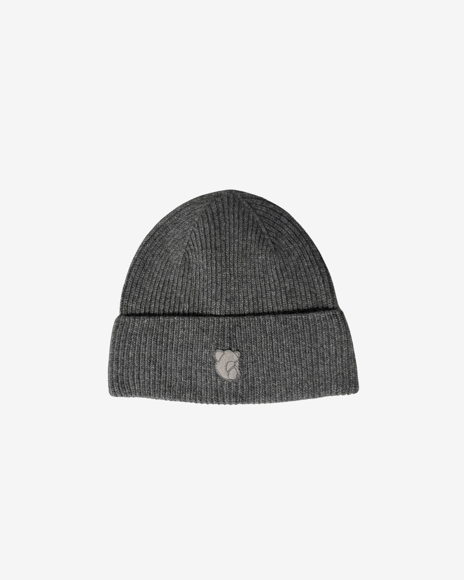 Boss beanie grey - Tonsure